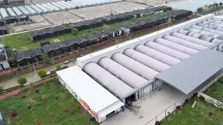 Dutch expert helps to modernize Chinese mushroom farms