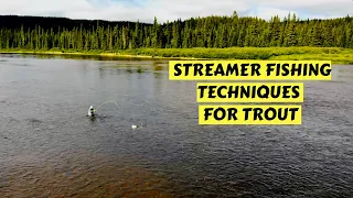 Streamer Fly Fishing | Basics & Advanced Techniques