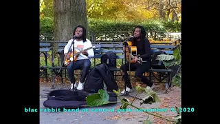 Blac Rabbit busking the Beatles at Central Park, NYC November 9, 2020