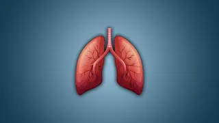 4 ou 5 choses que vous ignorez sur la respiration - 32 - e-penser