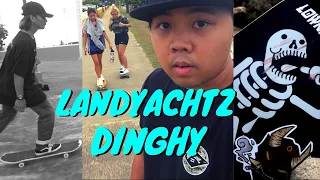 THE BEST SKATEBOARD FOR SUMMER! - Landyachtz Dinghy