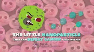 VIKKi - Peer Lab - Lipid Nanoparticles against Cancer