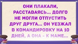 Как муж с женой расстались, а потом встретились. Подборка свежих анекдотов!