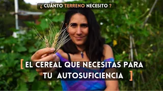 Autosuficiencia 🌾 alimentaria