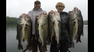 Big Bass on MASSIVE Topwater and SWIMBAITS