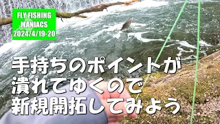 FlyFishingManiacs2024/04/19-20～手持ちのポイントが潰れてゆくので新規開拓してみよう