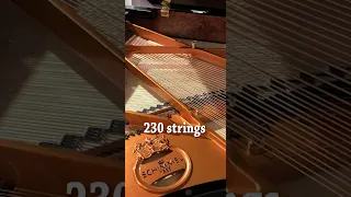 Piano strings #shorts