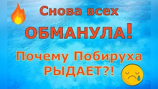 Деревенский дневник очень многодетной мамы  Снова всех ОБМАНУЛА!  Почему РЫДАЕТ?!  Обзор влогов