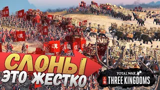 НОВЫЕ СЛОНЫ - ЭТО ТАКАЯ..!? Furious Wild Total War THREE KINGDOMS 1700 Слонов VS 3000 Элиты