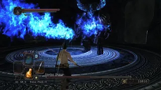 DARK SOULS 2 (SOTFS | CotOIK) - Blue Smelter Demon [No Damage | Only Melee | CoC]