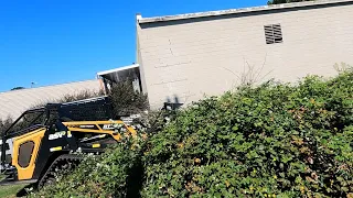 Forestry Mulching Weeds and Briars, Cleaning up Around a Building