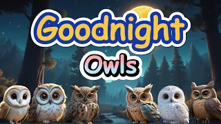 Goodnight Owl Buddies 🦉 FANTASY | ULTIMATE Calming Bedtime Stories for Babies and Toddlers