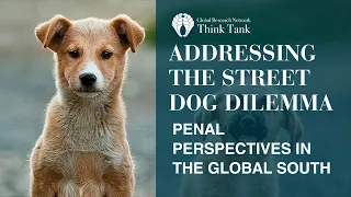 Addressing the Street Dog Dilemma: Penal Perspectives in the Global South (GRN Panel Event)