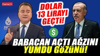 Dolar 13 lirayı geçti! Ali Babacan Erdoğan'a açtı ağzını yumdu gözünü!