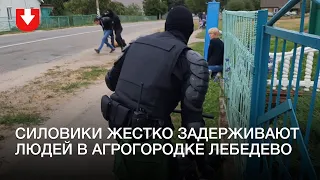 Жесткое задержание в агрогородке Лебедево под Молодечно