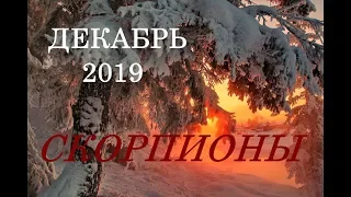 СКОРПИОН. ДЕКАБРЬ 2019 г. ГЛАВНАЯ ЗАДАЧА на МЕСЯЦ!!!