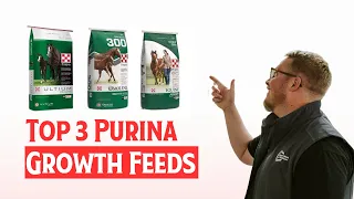 Top Purina Feeds for a Growing Horse