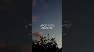 القارئ طارق محمد /سورة الانعام