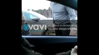 В Екатеринбурге водитель Infiniti устроил разборки из-за ДТП | E1.RU