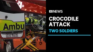 Crocodile attacks two soldiers swimming at Portland Roads in Far North Queensland | ABC News