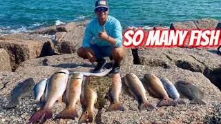 Jetty Fishing MEAT HAUL! **PART 1** (Corpus Christi, Tx)