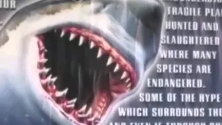 GREAT WHITE SHARK ATTACKS Caught On Tape   Wildlife Documentary   A predator or just misunderstood