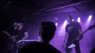 VARSOVIE - "Perspective Nevski" LIVE in LYON (2024)