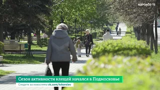 Сезон активности клещей начался в Подмосковье