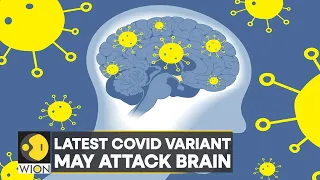 Study: Omicron BA.5 subvariant may cause more damage | Covid-19 | WION Pulse | Latest English News