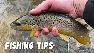 Fishing a Small Stream in Utah