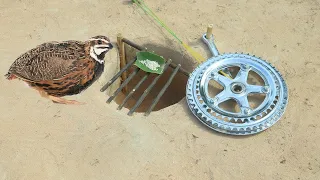 Build Simple Unique Underground Quail Bird Trap Using Bike Crank Work 100%