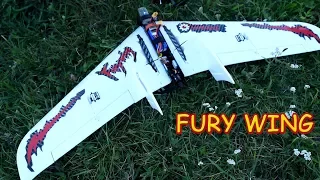 Летающее крыло Fury Wing (Крыло Ярости оно же Бешенное Крыло) обзор