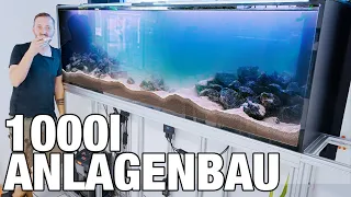 1000l Malawi Aquarium Aufbau