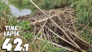 Me With My Brother And Big Amount Of Water - Manual Beaver Dam Removal No.42.1 - Time-Lapse Version