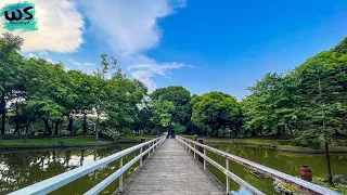 [4K] JAPANESE GARDEN MANILA 2022 RIZAL PARK LUNETA Relaxing Virtual Tour