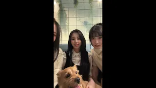 [ENG] 트와이스 TWICE - ChaeTzu insta live with Momo, Sana, Mina, JY and Boo! 240129