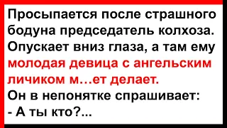 Про председателя колхоза и девицу с ангельским личиком... Анекдоты! Юмор! Позитив!