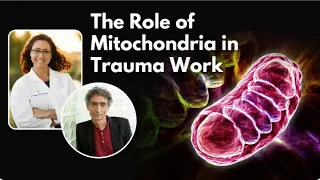 The Role of Mitochondria in Trauma Work with Dr. Gabor Maté
