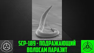 SCP-189 - Подражающий волосам паразит 【СТАРАЯ ОЗВУЧКА】