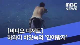 [비디오 디저트] 하와이 바닷속의 '인어왕자' (2020.06.19/뉴스외전/MBC)