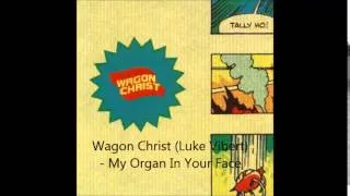 Wagon Christ (Luke Vibert) - My Organ In Your Face