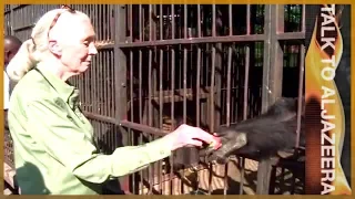 Jane Goodall: Chimpanzees, humanity and all that binds them | Talk to Al Jazeera