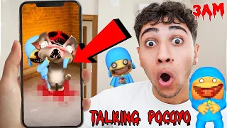 ❌ TALKİNG POCOYO TALKİNG TOM OYUNUNA GİRDİ !! 🚫😱 TALKİNG TOM' a NE YAPTI ?! *Tom Öldü Mü ?*