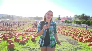 PumpkinFestivalVideo