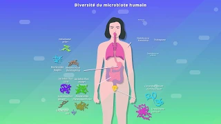 Microbiote humain et santé (SVT 2de)