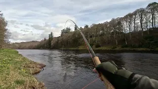 Salmon fishing at Murthly on the River Tay, 21st March 2024
