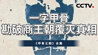 走进神秘商王朝 打开尘封千年的“商”记忆！从文化疆域 占卜制度 生产科技等多个方面 揭开商王朝的神秘面纱！【CCTV纪录】