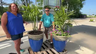 Planting Up the New Proven Winners 2025 Annuals in Our AquaPots