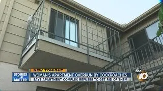 Woman's apartment overrun by cockroaches