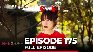 Cherry Season Episode 175